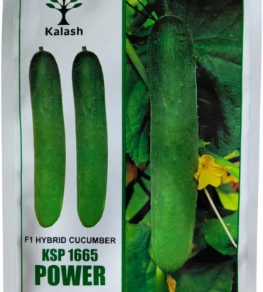 KSP 1665 Power F1 CUCUMBER