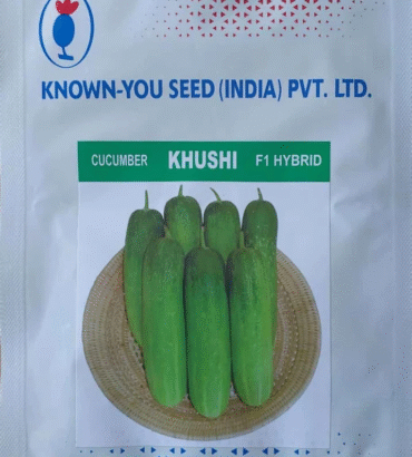 Khushi Cucumber