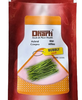 BUBBLY 18GM 100SEEDS (Copy)