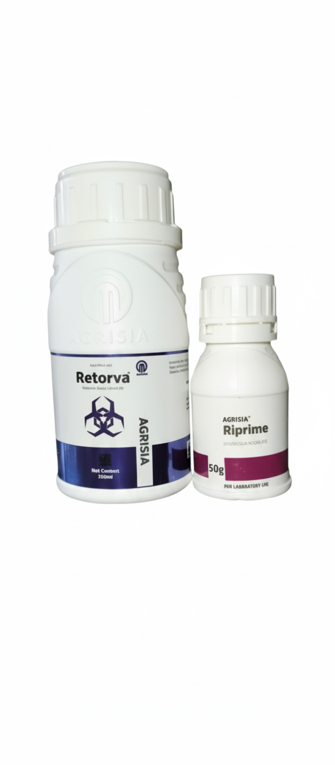 Retorva + Riprime