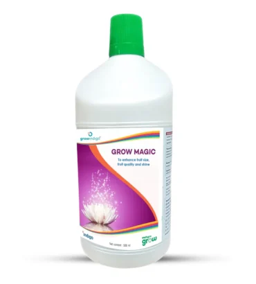 GROW MAGIC