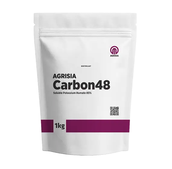 Carbon 48