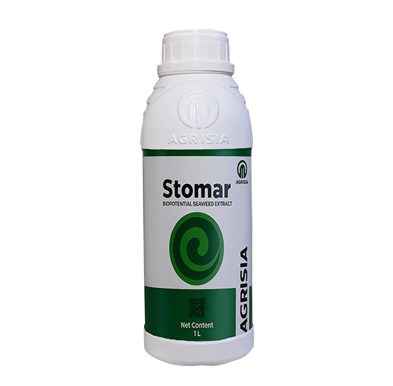 Stomar| Biopotential Seaweed Extract