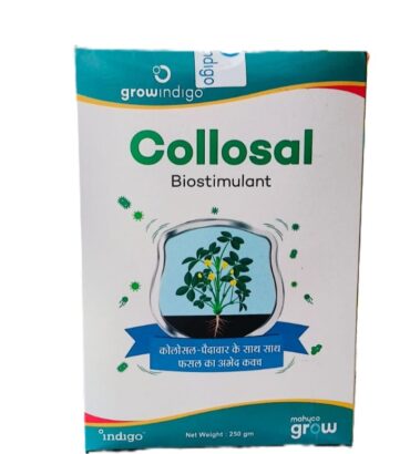 Collosal