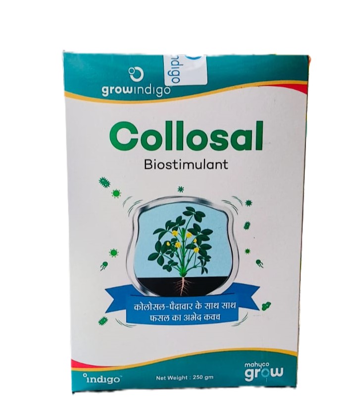Collosal