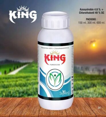 King Azoxystrobin 4.8% + Chlorothalonil 40% SC