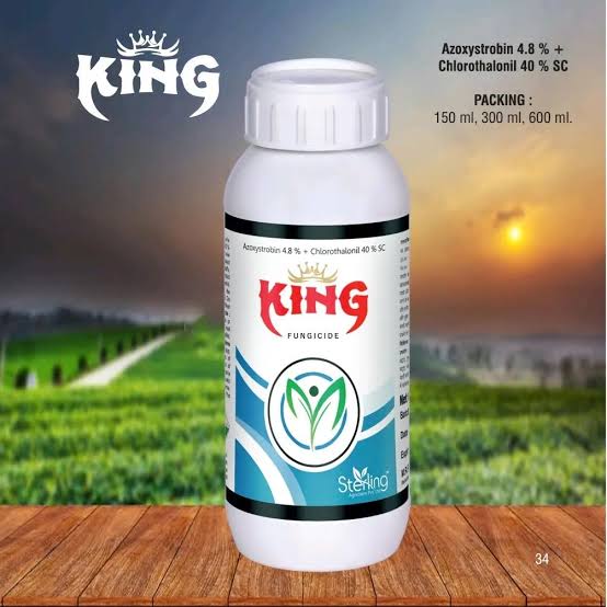 King Azoxystrobin 4.8% + Chlorothalonil 40% SC